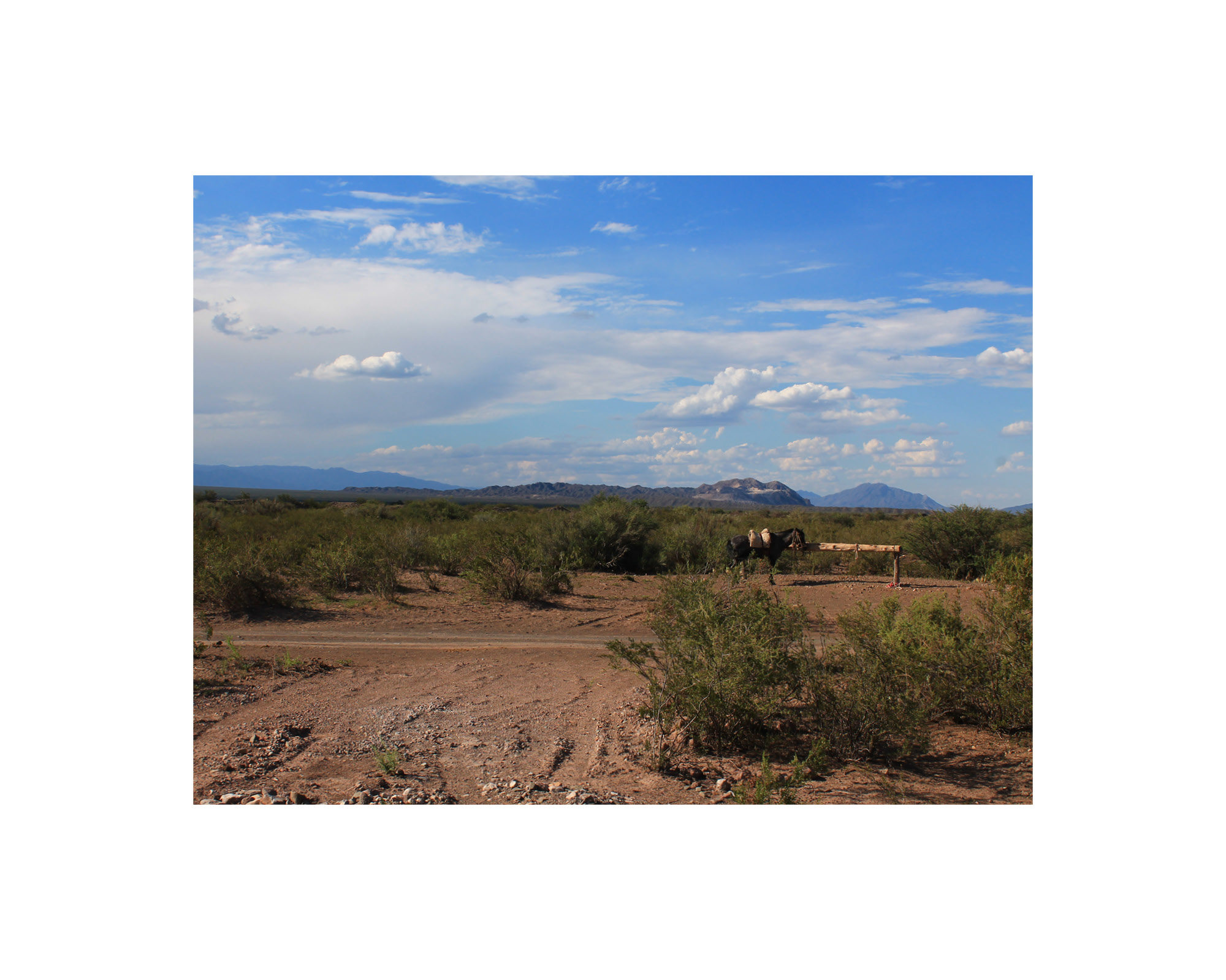 Argentina “El Gaucho”